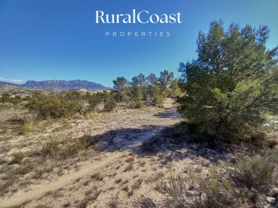 Spectacular land in Xixona with the possibility of building a house. Water from the town and mountain views