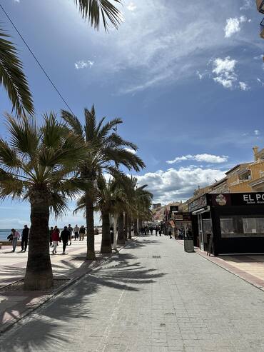 Guía completa de apartamentos en primera línea de playa en El Campello